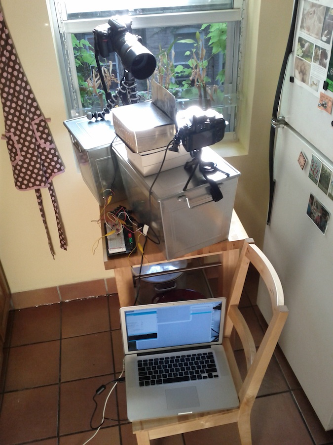 cameras, arduino, and laptop in kitchen