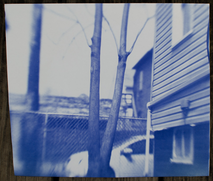 yard with tree and house siding