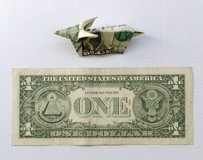 complete armadillo and flat dollar bill