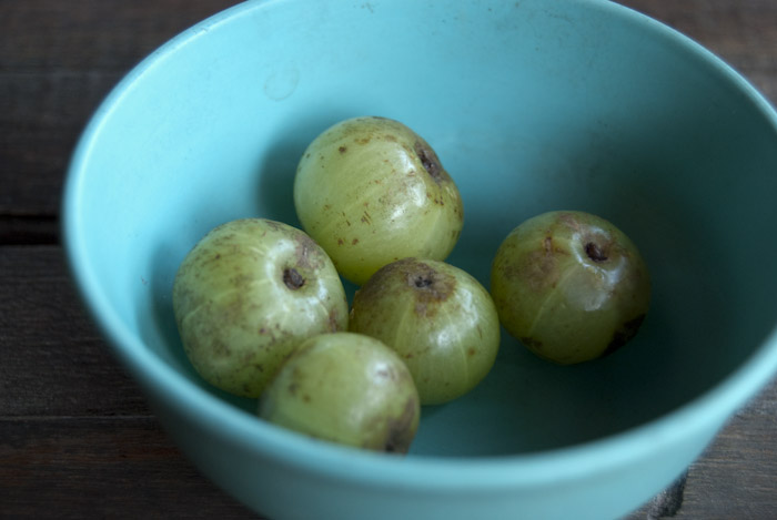 dry berries in a bowl