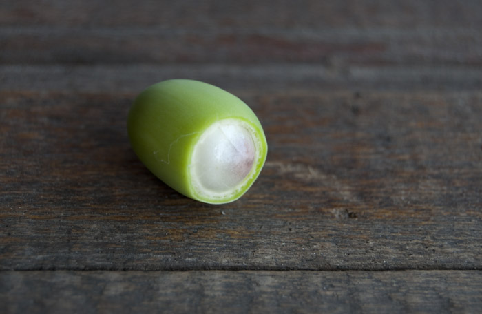 partially shelled lotus seed