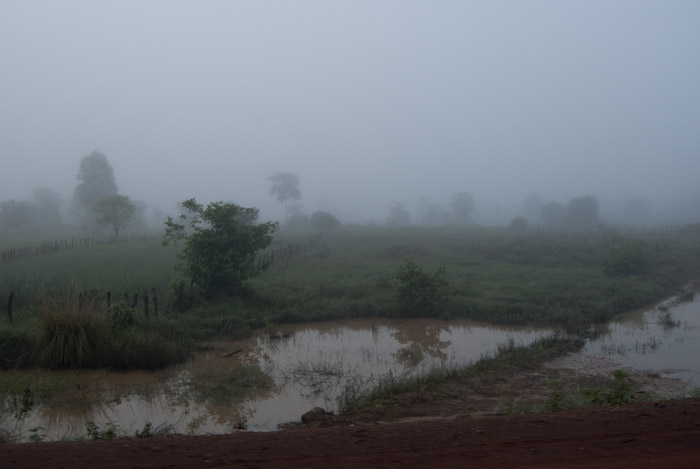 fields in fog near Anlong Veng