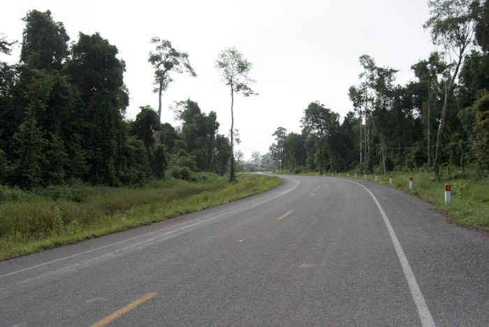 road curving through forest