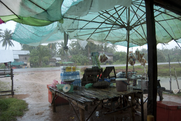 umbrella store awning in rain