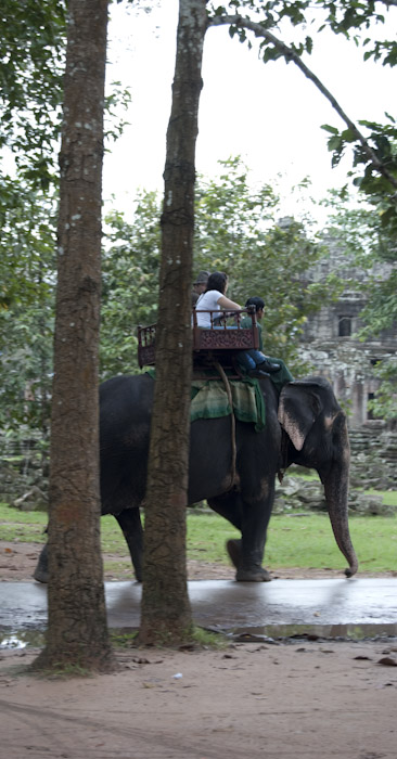 elephant with riding box