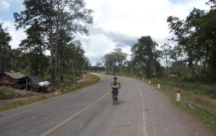 curved road into village