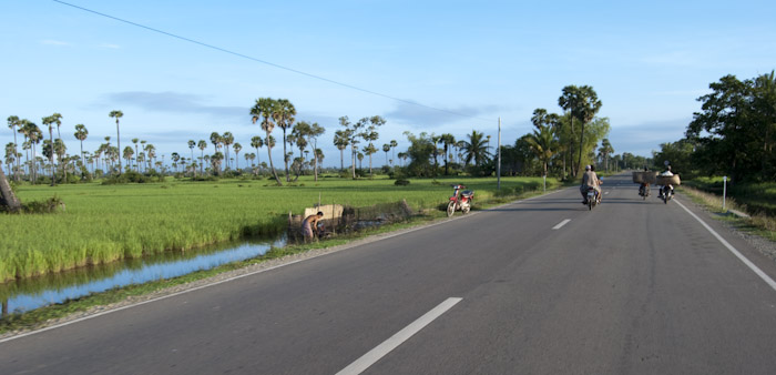 road with morning traffic
