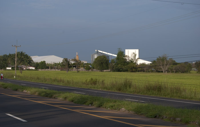 industrial plant and road