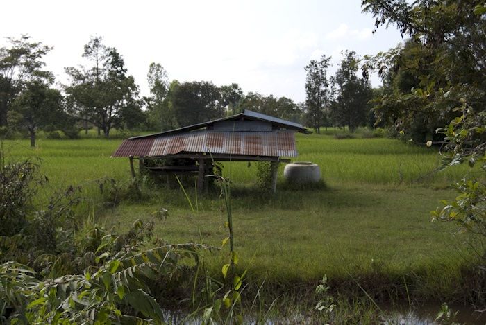 shack in field