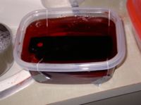 stapler suspended in liquid Jello