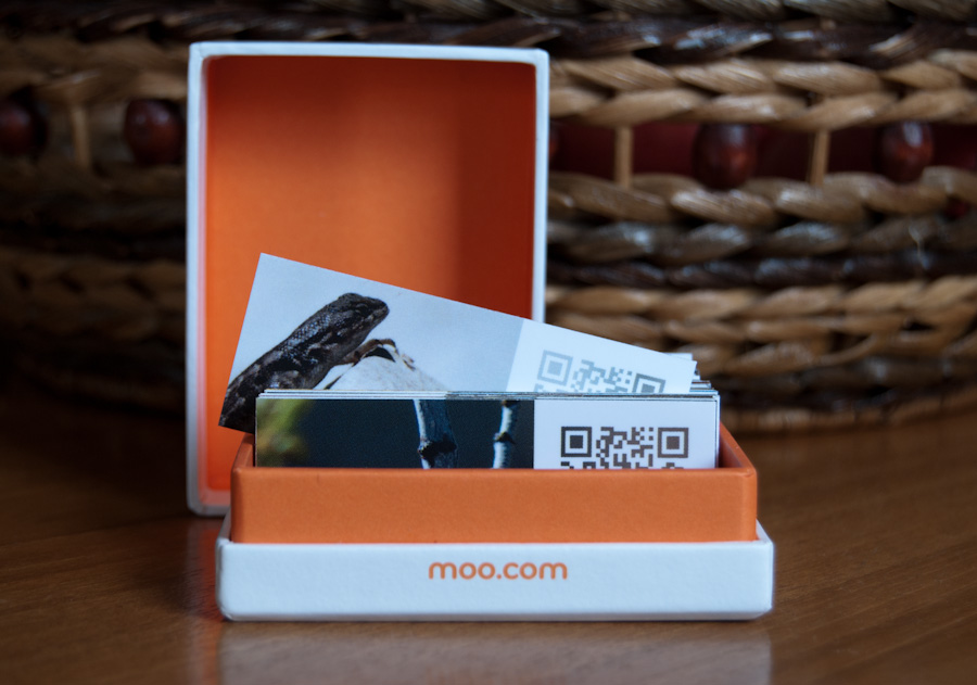 MOO MiniCards in box with basket backdrop
