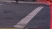 Matt's photo: cropped